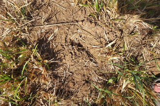  terrain lanzac 46200