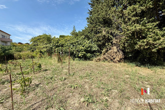  terrain lattes 34970