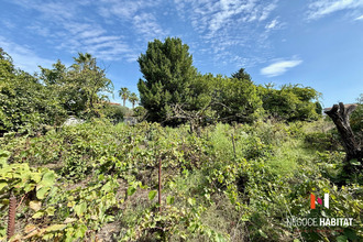  terrain lattes 34970