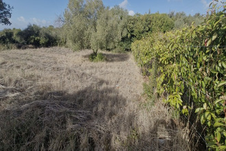  terrain laurens 34480