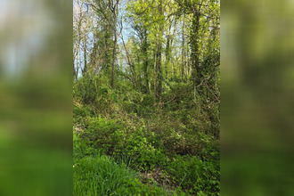  terrain le-champ-st-pere 85540