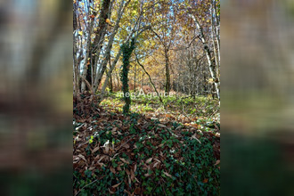  terrain le-chastang 19190