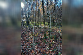  terrain le-chastang 19190