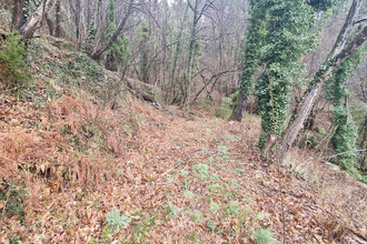  terrain le-collet-de-deze 48160