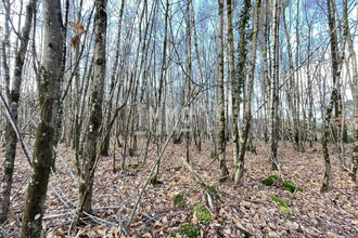  terrain le-grand-luce 72150