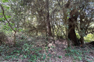  terrain le-grand-village-plage 17370