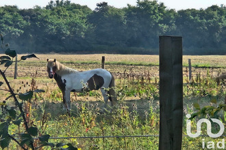  terrain le-gua 17600