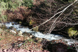  terrain le-hohwald 67140