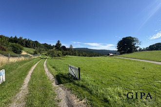  terrain le-hohwald 67140