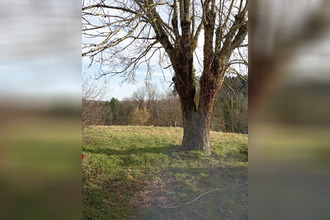  terrain le-mayet-de-mtagne 03250