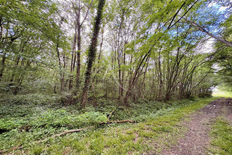  terrain le-plessis-grammoire 49124