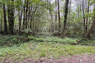  terrain le-plessis-grammoire 49124