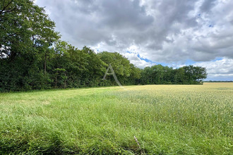  terrain le-plessis-grammoire 49124