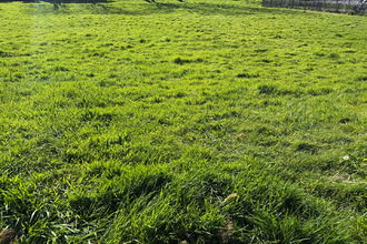  terrain le-relecq-kerhuon 29480