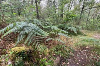  terrain le-vaudoue 77123