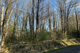  terrain le-vieil-bauge 49150