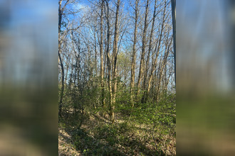  terrain le-vieil-bauge 49150