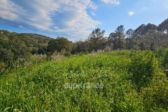  terrain lecci 20137