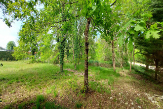  terrain lege-cap-ferret 33950