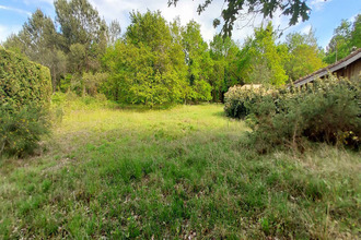  terrain lege-cap-ferret 33950