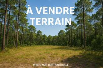  terrain lege-cap-ferret 33950