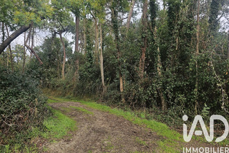  terrain lege-cap-ferret 33950