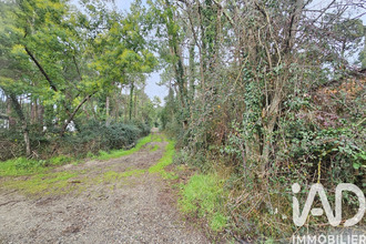  terrain lege-cap-ferret 33950