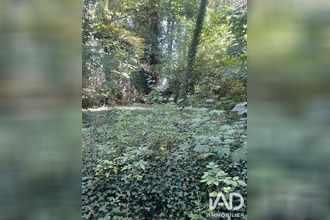  terrain lens 62300