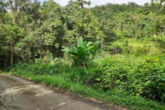  terrain les-anses-d-arlet 97217