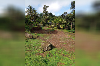  terrain les-anses-d-arlet 97217