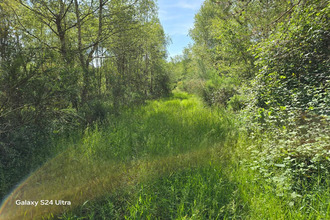  terrain les-choux 45290