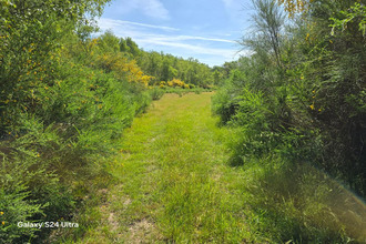  terrain les-choux 45290
