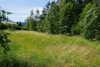  terrain les-houches 74310