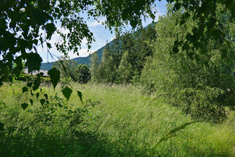  terrain les-houches 74310