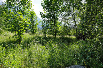  terrain les-houches 74310