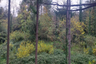  terrain les-ollieres-sur-eyrieux 07360