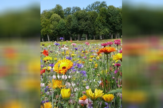  terrain les-ormes 86220