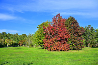  terrain les-sables-d-olonne 85180