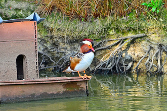  terrain les-sables-d-olonne 85180