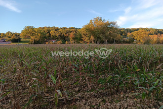  terrain les-tourreilles 31210