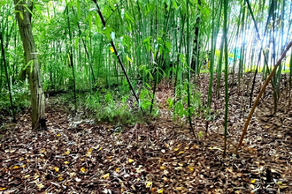  terrain lescure-d-albigeois 81380