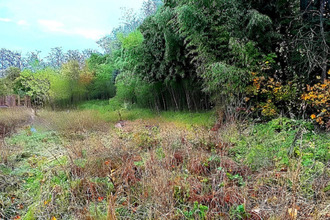  terrain lescure-d-albigeois 81380