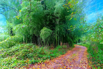  terrain lescure-d-albigeois 81380