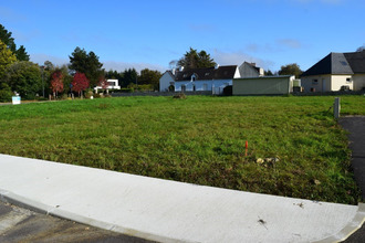  terrain lignol 56160