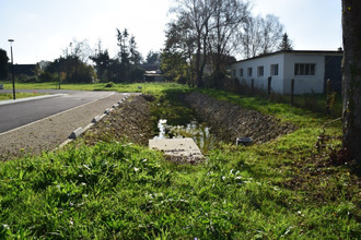  terrain lignol 56160