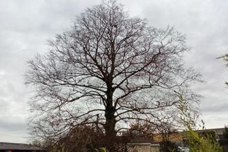  terrain limoges 87000