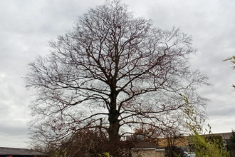  terrain limoges 87000