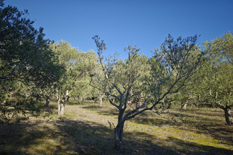  terrain limoux 11300