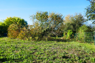  terrain lisle-sur-tarn 81310