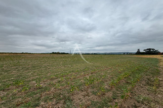 terrain lisle-sur-tarn 81310